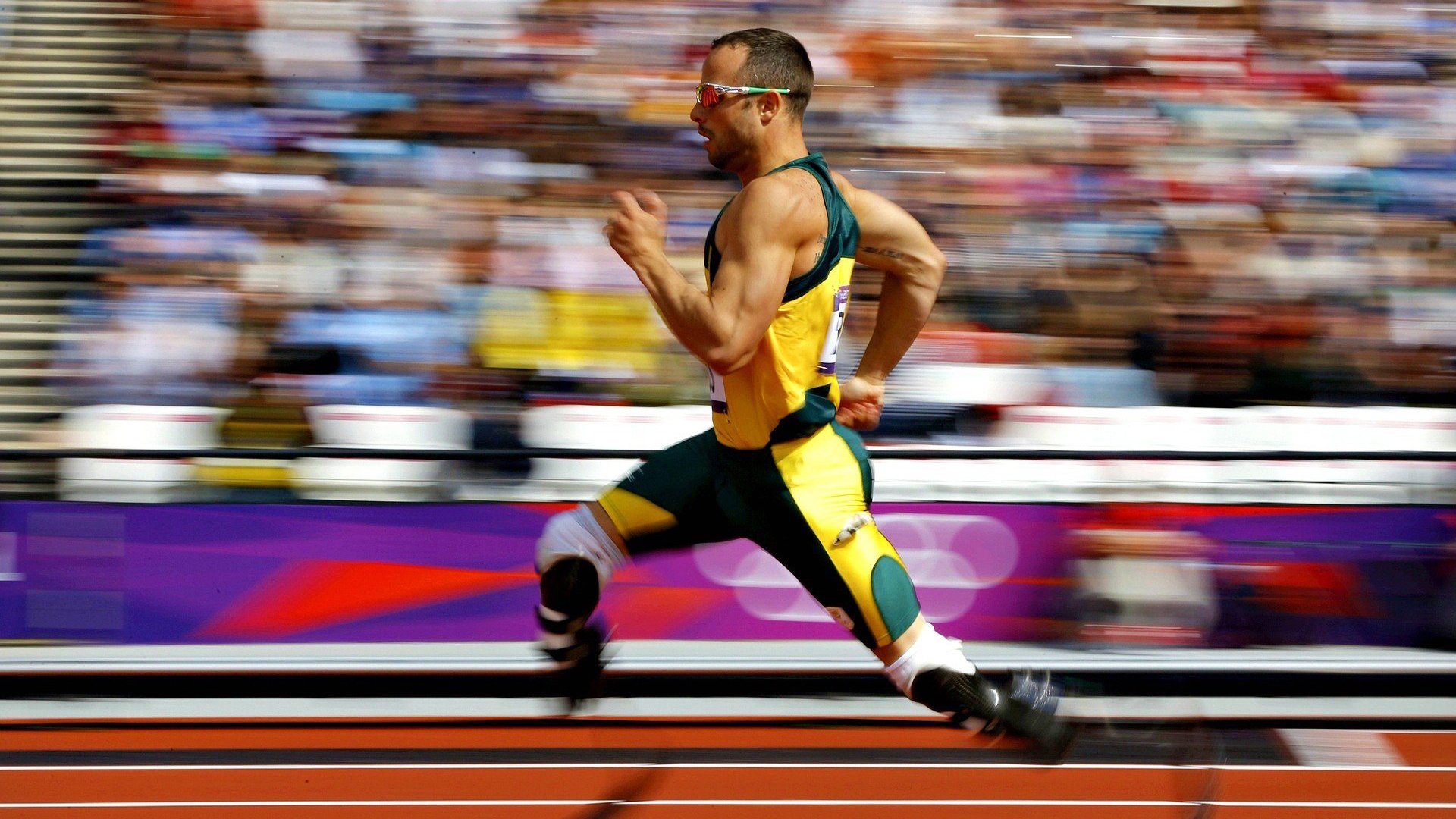 国家游泳队成绩稳步提升，国家游泳队选拔